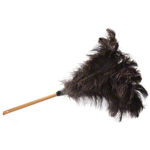 23-ostrich-feather-duster