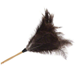 27-ostrich-feather-duster