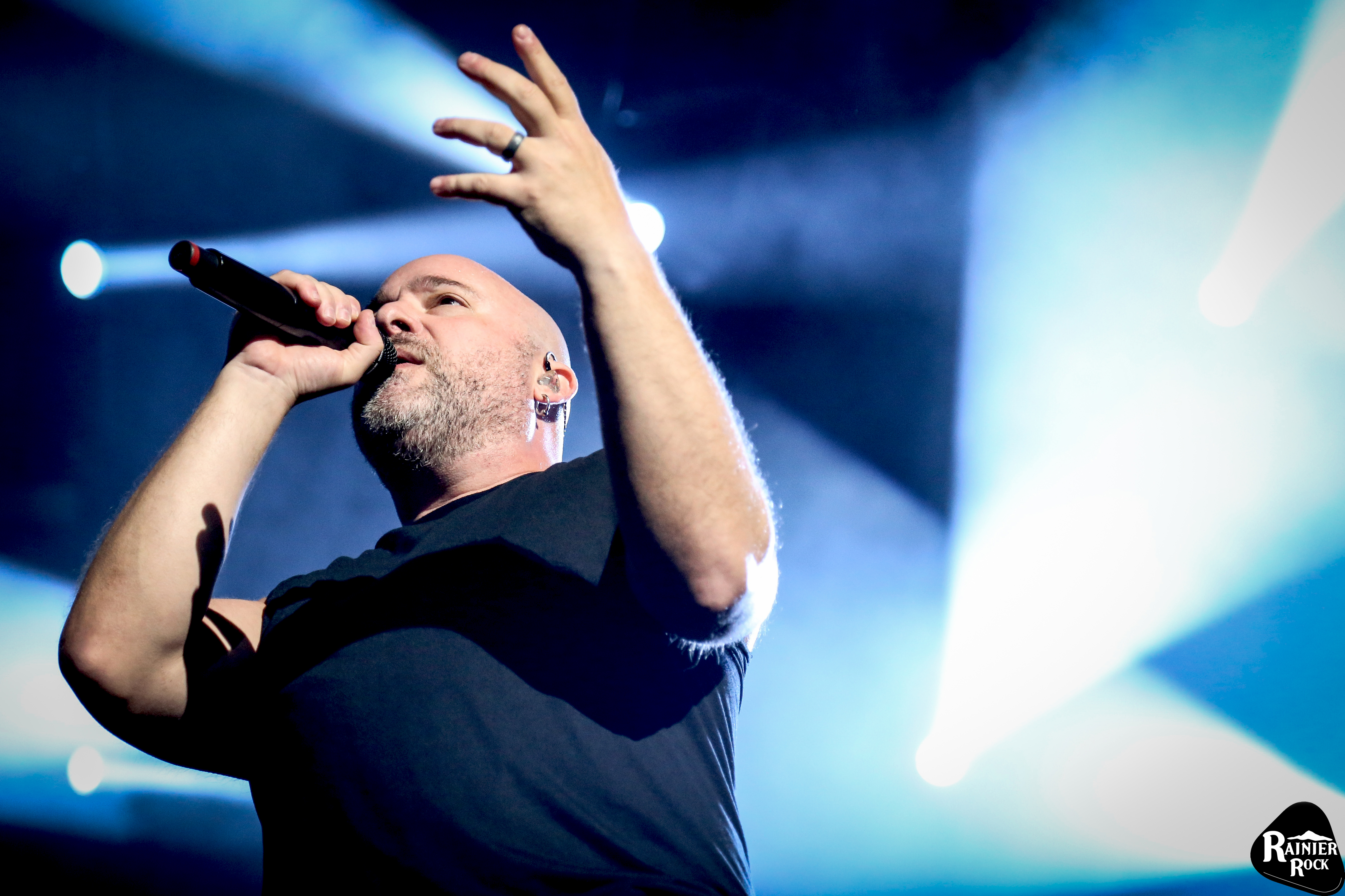 Disturbed at Pain in the Grass 2019